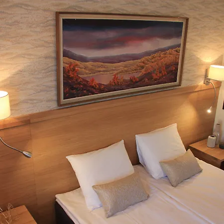 Ξενοδοχείο Aakenus Ροβανιέμι