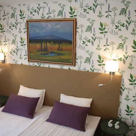 Aakenus Ξενοδοχείο Ροβανιέμι