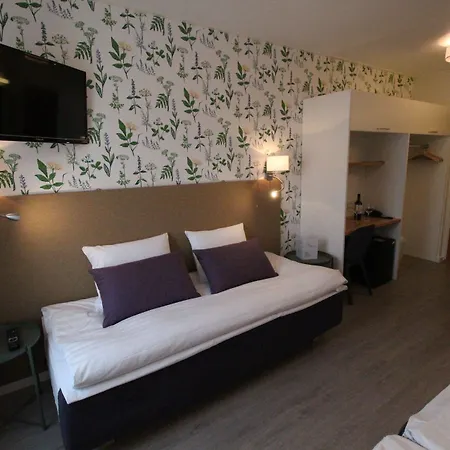 Ξενοδοχείο Aakenus 4*