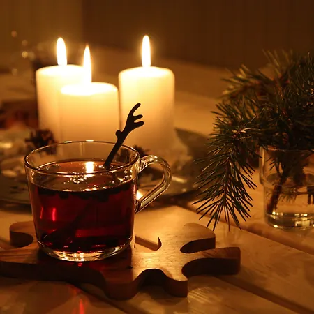 Ξενοδοχείο Aakenus 4*