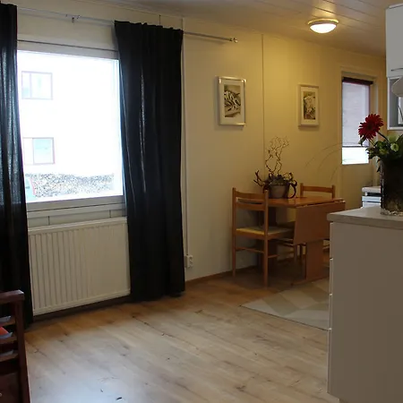 Ξενοδοχείο Aakenus 4*