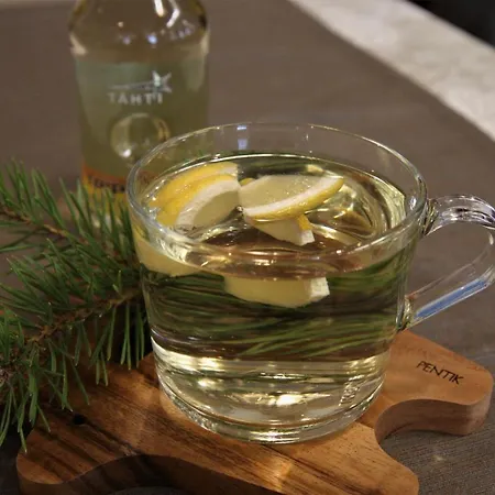 Ξενοδοχείο Aakenus Ροβανιέμι