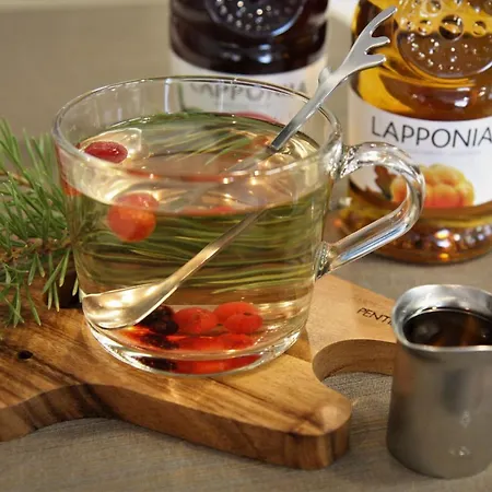 Ξενοδοχείο Aakenus 4*