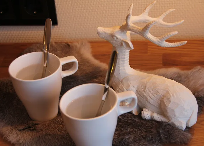 Hotel Aakenus Rovaniemi