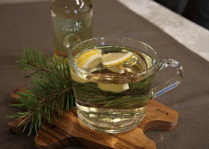 Hotel Aakenus Rovaniemi